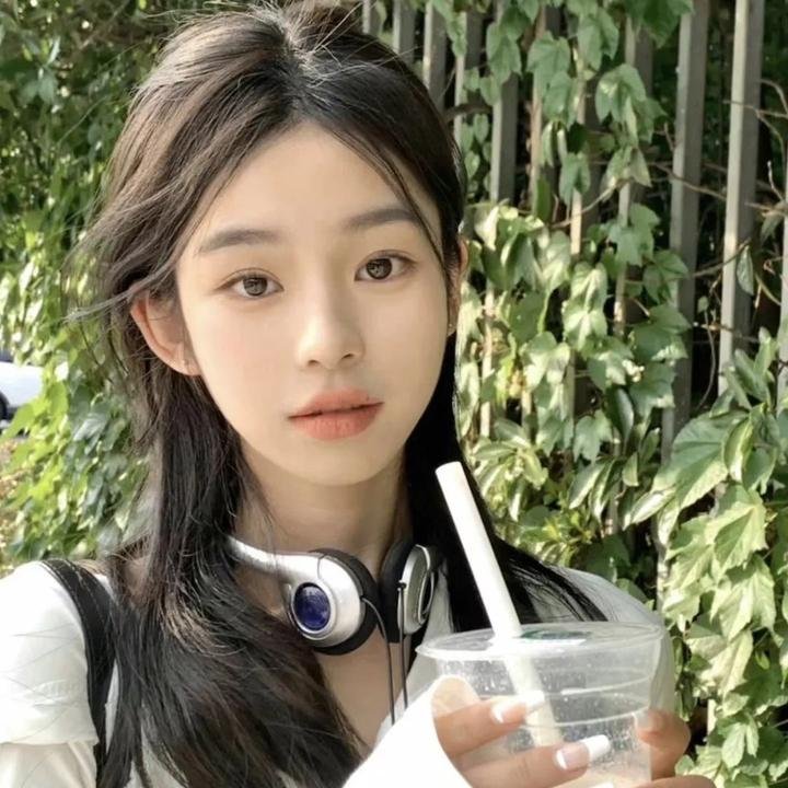 苏莱曼的故事